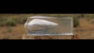 44 Magnum Vs Gel Block Hd