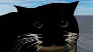 POV you made maxwell angry