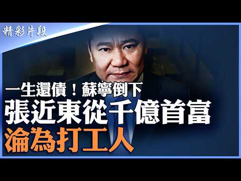 2300億債務全面爆雷！張近東資產清零背後：錯判時代｜千億首富一夜歸零｜全家資產被清空！｜【#精英論壇】 #精彩片段 #張近東 #爆雷