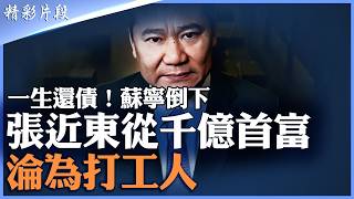 2300億債務全面爆雷！張近東資產清零背後：錯判時代｜千億首富一夜歸零｜全家資產被清空！｜【#精英論壇】 #精彩片段 #張近東 #爆雷