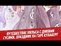 Путешествие Нильса с дикими гусями. Праздник на горе Кулаберг - Хочу всё знать