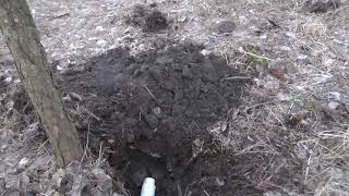 Новый Прикоп Потомкам.....