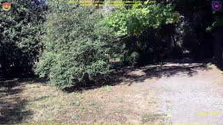 A Wonderful Quiet Walk Through An Ancient And Deserted Botanical Garden - Part 3 Of 5