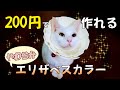 200円で作れる！柔らかエリザベスカラー！