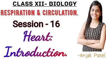 Class XII Biology - Respiration and Circulation : 8.13- Heart - Introduction | Anjali Patel |