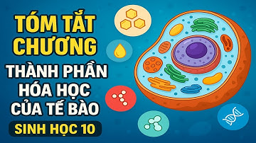 Bí Quyết Học Nhanh Chương Thành Phần Hóa Học Của Tế Bào  Sinh Học 10 – Bản Tóm Tắt Chuẩn #sinhhoc10