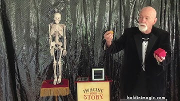 The Great Baldini Presents the 2020 Summer Reading Program