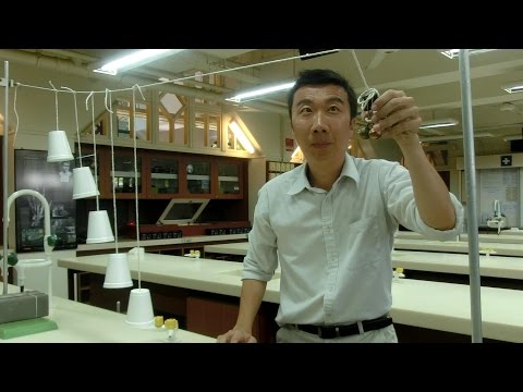 Barton's Pendulum -- xmdemo 042