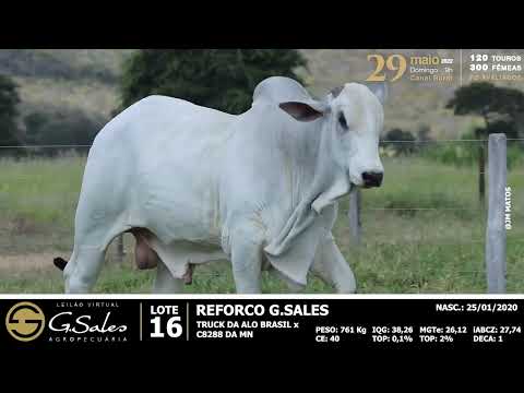 Lote 16 MFBN 6925