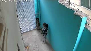 Security cam timelapse 20260316