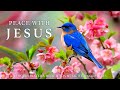 PEACE WITH JESUS Soothing Worship Piano Powerful Bible Verses Christian Harmonies 97 PEACE WITH JESUS Soothing Worship Piano Powerful Bible Verses Christian Harmonies 97