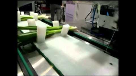 Sroka Spring Onion Bindng With Label