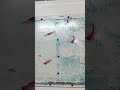 When image transfers go wrong, change your plan! #gelpress #gelart #gelliprint #gelprint #crafting
