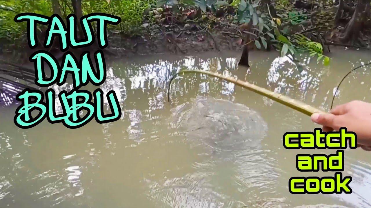 #EP766 Tahan Bubu dan Taut di Hutan Sawit Terbiar