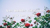 Les Belles Citations Sur La Nature Youtube