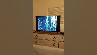 LITTLE BEAR THEME SONG