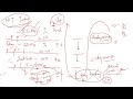 Lec 11: DORA Metrics in DevOps