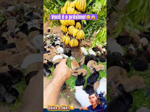 Vamu te pega!😱😲