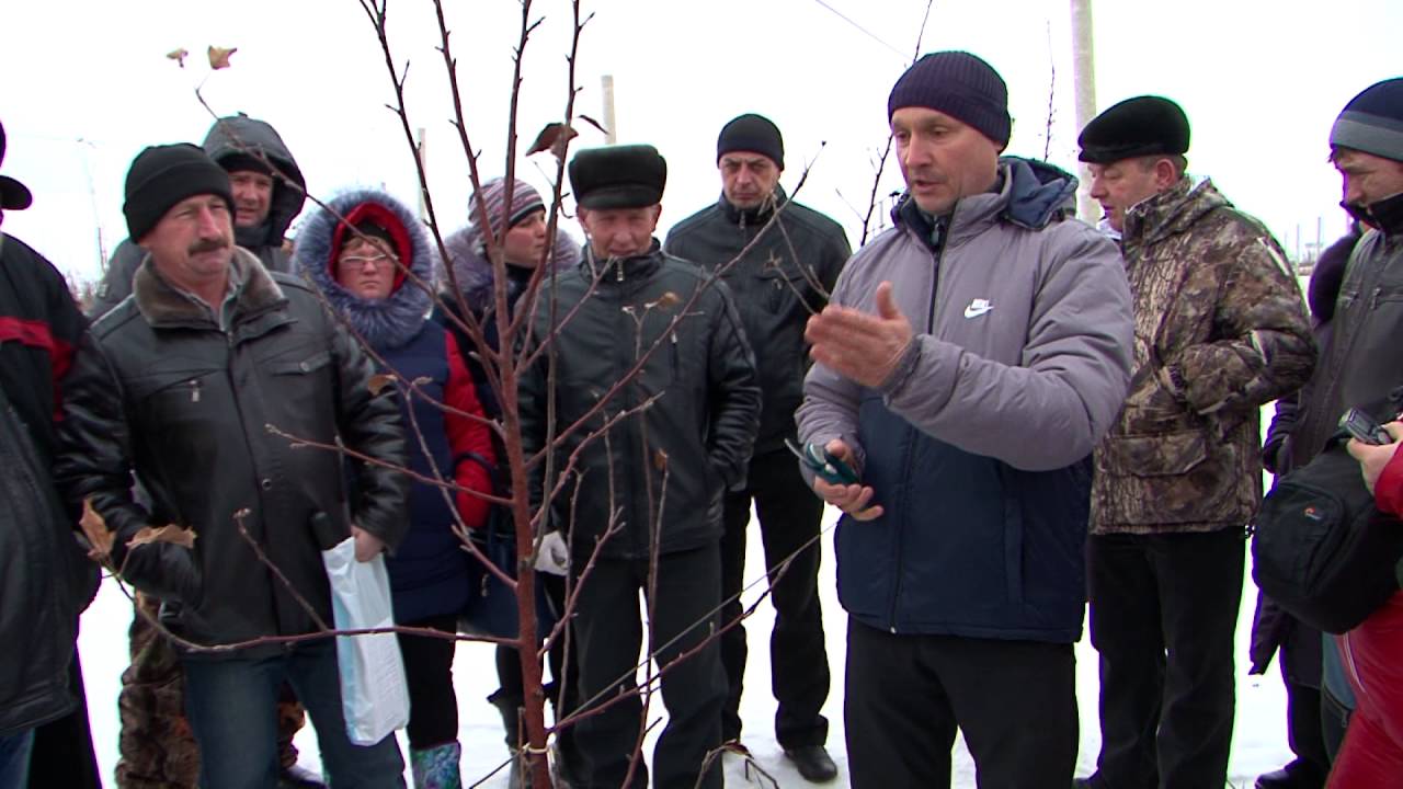 «Агрономика». Бизнес на яблоках (6.04.2016)