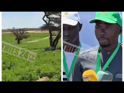 Production de pommes de terre, Gora Diène s'offre en exemple à Notto Gouye Diama