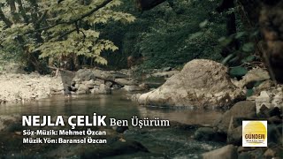 Nejla Çelik - Ben Üşürüm -  Resimi