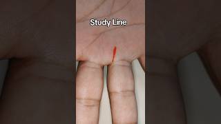 Study Line 