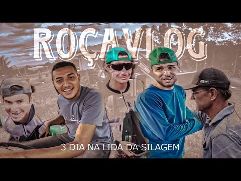 Terceiro dia na lida da silagem pro vizinho, quase deu cagada (roçavlog) safra 2