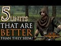 5 UNITS THAT ARE BETTER THAN THEY SEEM! - Total War: Warhammer 2