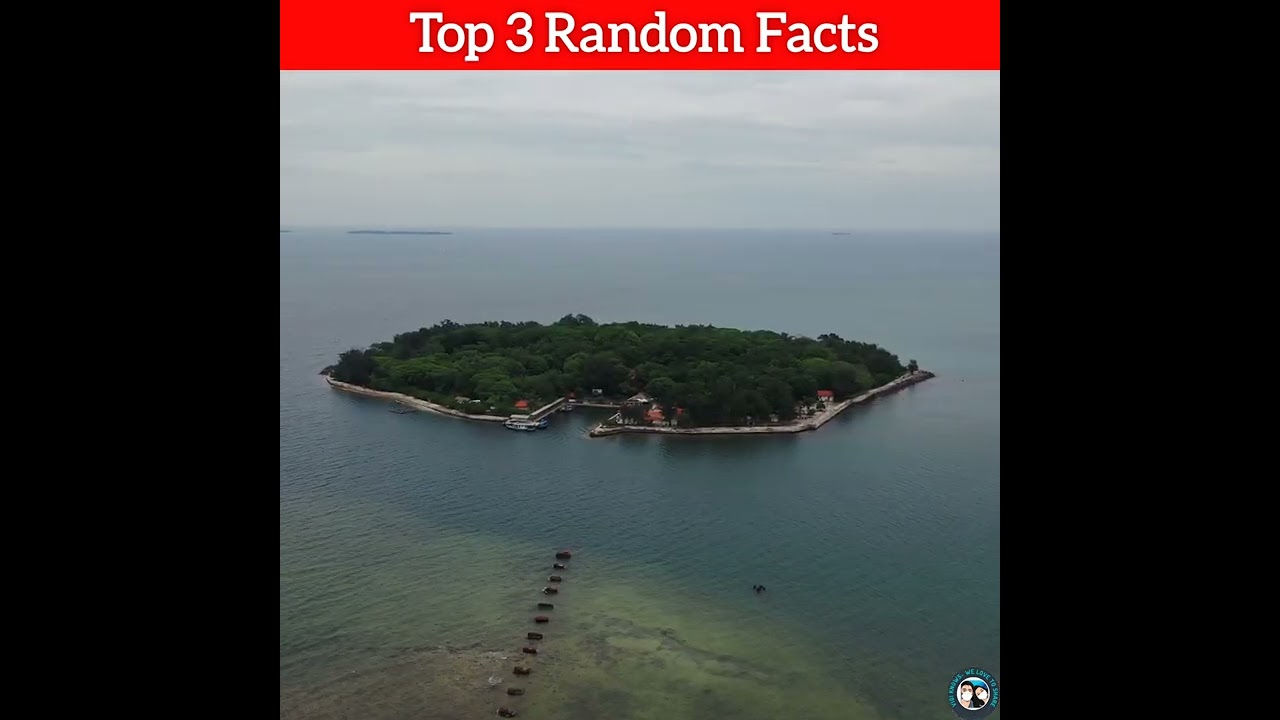Top 3 Random Facts || Vigi Knows 