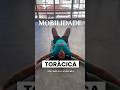 Mobilidade torácica em cima da caneleira #mobilidade #alongamento #tutorial