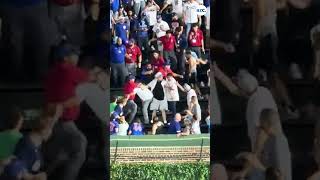 Brawl breaks out Wrigley Field
