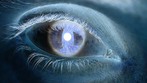 Invert Perceptions to Shift Perspective, with Jonathon Keats  | Big Think