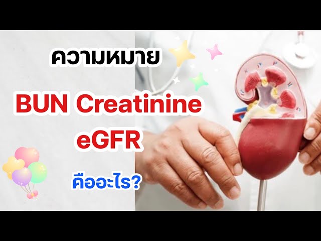 ผลเลือด BUN Creatinine eGFR คืออะไร? ผลแบบนี้แปลว่าอะไร? class=