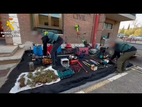 Operaci&oacute;n Yunkes: cae una organizaci&oacute;n criminal en Fraga con multitud de robos y plantas de marihuana