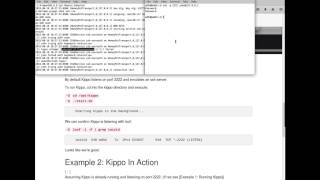 ADHD and Kippo