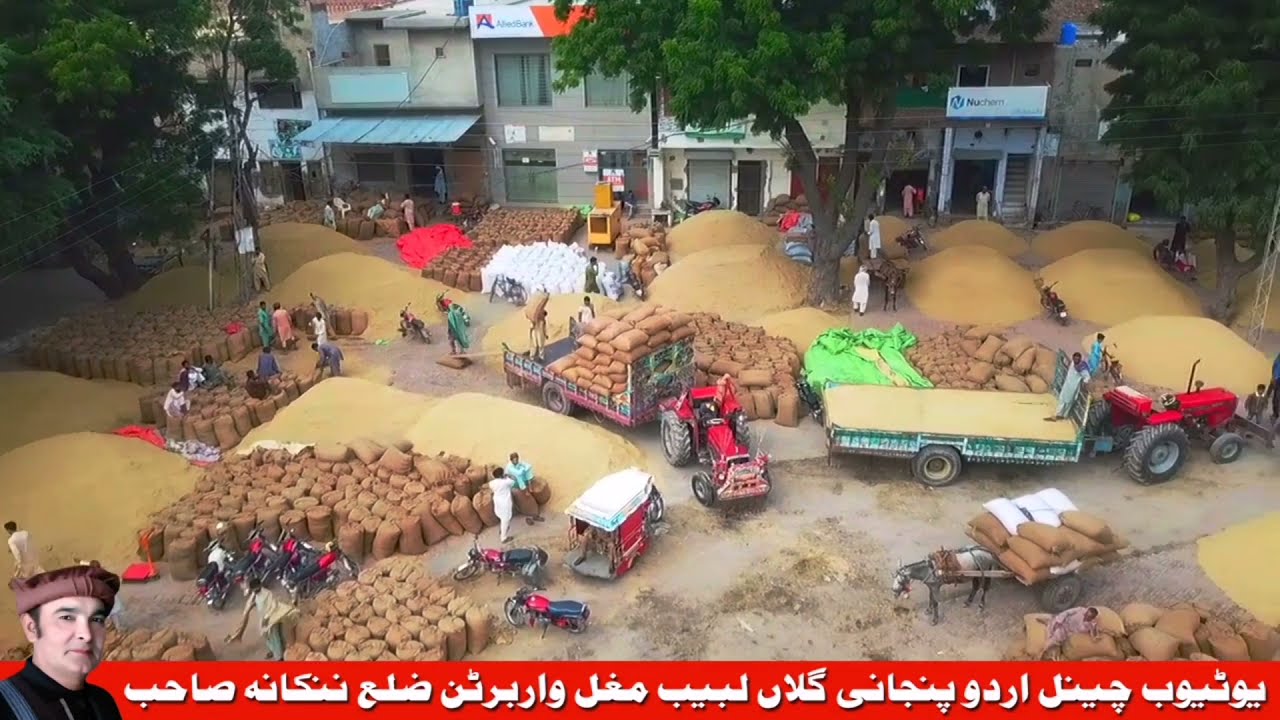 warburton-ghalla-mandi-history-warburton-punjab-pakistan-urdu