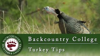Turkey Hunting Tips - Backcountry College