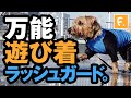 【犬猫の服 フルオブビガー】ドッグプレイ®サークルプリントラッシュガード(ダックス・小型犬用)