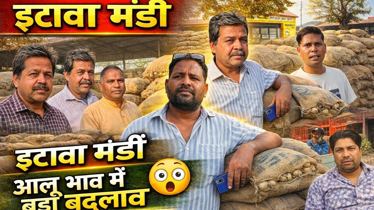 इटावा मंडी में आलू के भाव में बड़ा बदलाव | आज का आलू भाव 7 फरवरी 2026