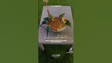 هذا خلق الله فأروني القارئ:عـبـدالـولـي الأركــانــي{سوره لقمان}