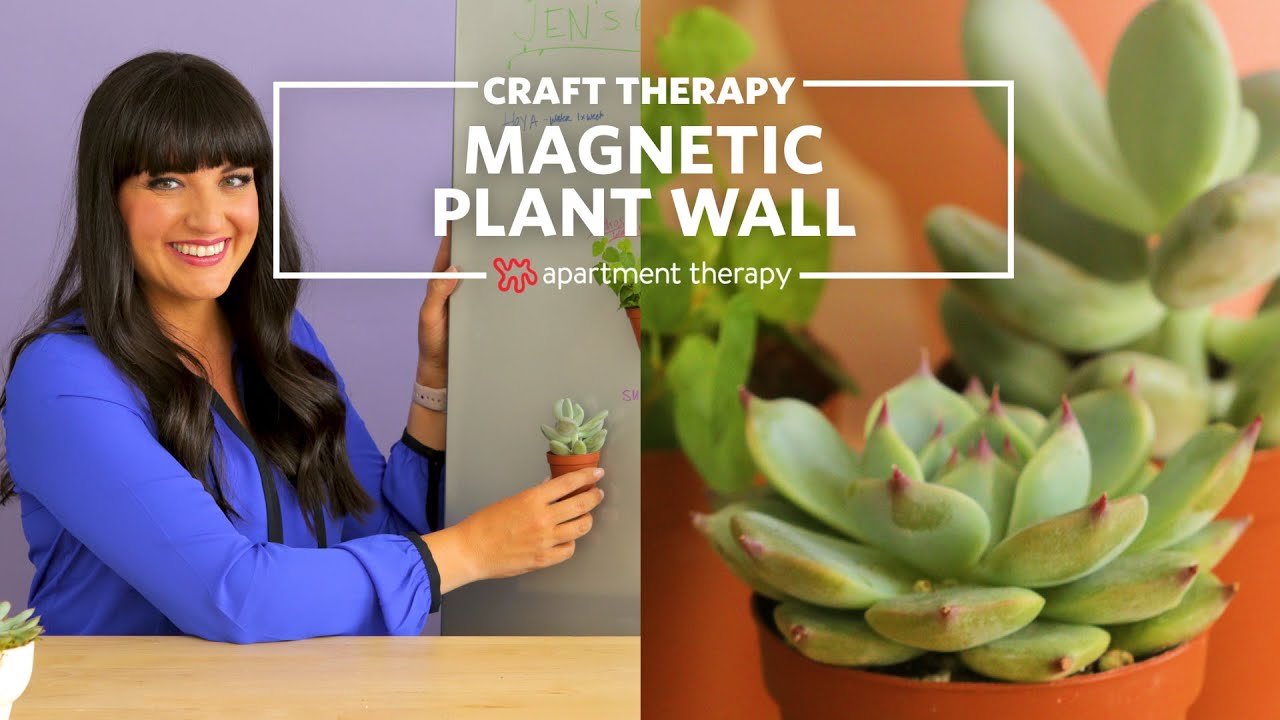 craft ideas for 2 year olds Magnetic Plant Wall | Craft Therapy | Apartment Therapy