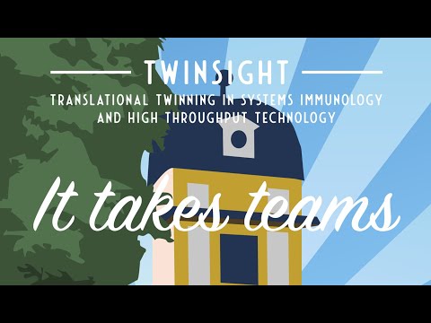 Twinsight Tips for your career