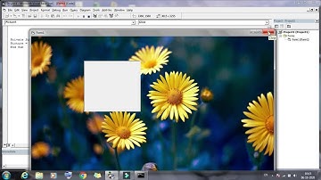 control object in visual basic like as inserting a picture box , image box , list box, combo box etc