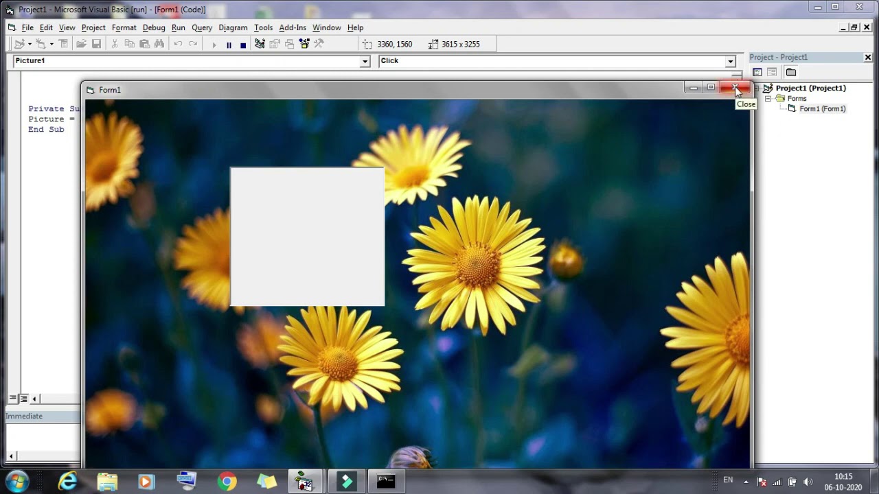 control object in visual basic like as inserting a picture box , image ...