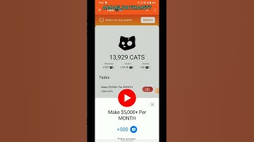 Cats New Video Code Today 12 October | Make $5,000+ Per MONTH Cats Video Code Today Cats Code video