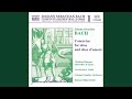 Miniature de la vidéo de la chanson Concerto In D Minor, Bwv 1059: Ii. Adagio (Alessandro Marcello)