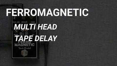 Tape Speed Effect - FERROMAGNETIC - Multi Head Tape Delay