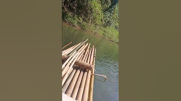 See our journey on 8 Dec 2025