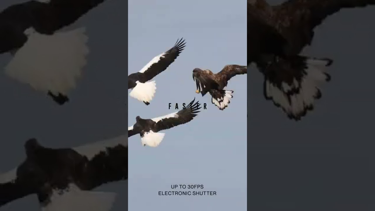 Canon EOS R7 Faster and Steadier