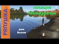 Русская рыбалка 4 - река Волхов - Ряпушка у двух пеньков